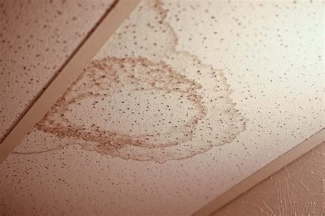 brown stain on ceiling but no leak|Mystery Solved: The Brown Stain on the Ceiling but。